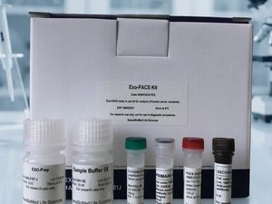 Exo-FACS Ready to Use Kit